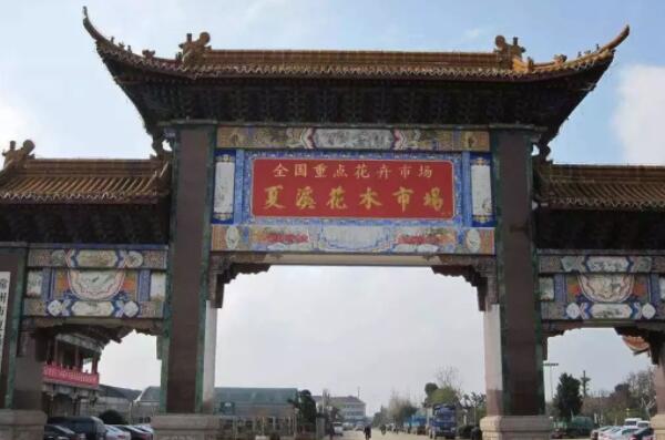 中國十大花卉批發(fā)市場，江蘇上榜兩處，第一是中國最大鮮切花市場(2)