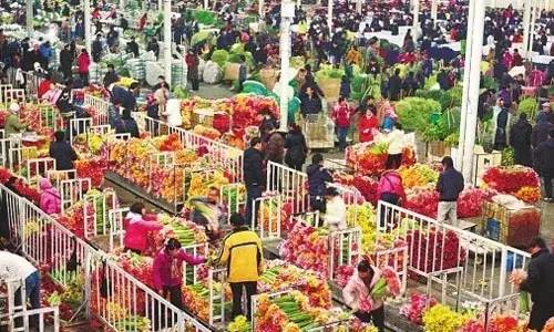 附近的花卉市場批發_附近的花卉批發市場在哪里_花卉批發附近市場在哪里