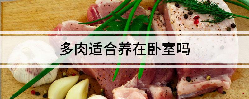 多肉適合養在臥室嗎