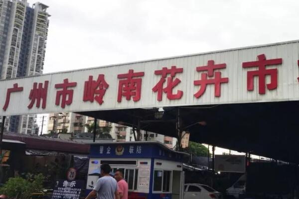 離我最近的花卉批發(fā)市場_花卉批發(fā)市場一覽_花卉市場批發(fā)