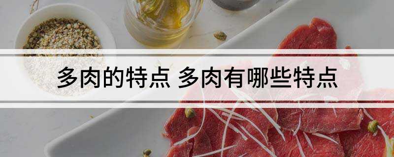 <strong>多肉的特點(diǎn) 多肉有哪些特點(diǎn)</strong>