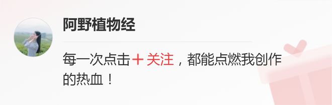 鮮花一直放會變干花嗎_鮮花變干花后怎么保存_鮮花放干后變成干花