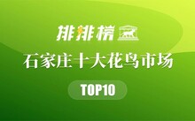 成都市場花鳥市場價格_成都花鳥市場_成都市場花鳥市場地址