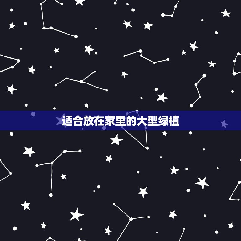 適合放在家里的大型綠植，最適合放在室內的十五種綠植