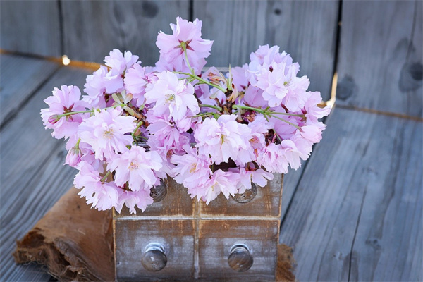 興國縣鮮花(興國縣有幾個菜市場)