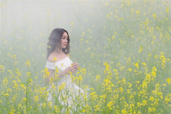 庭院里適合栽種什么花(庭院里適合栽種什么花草)